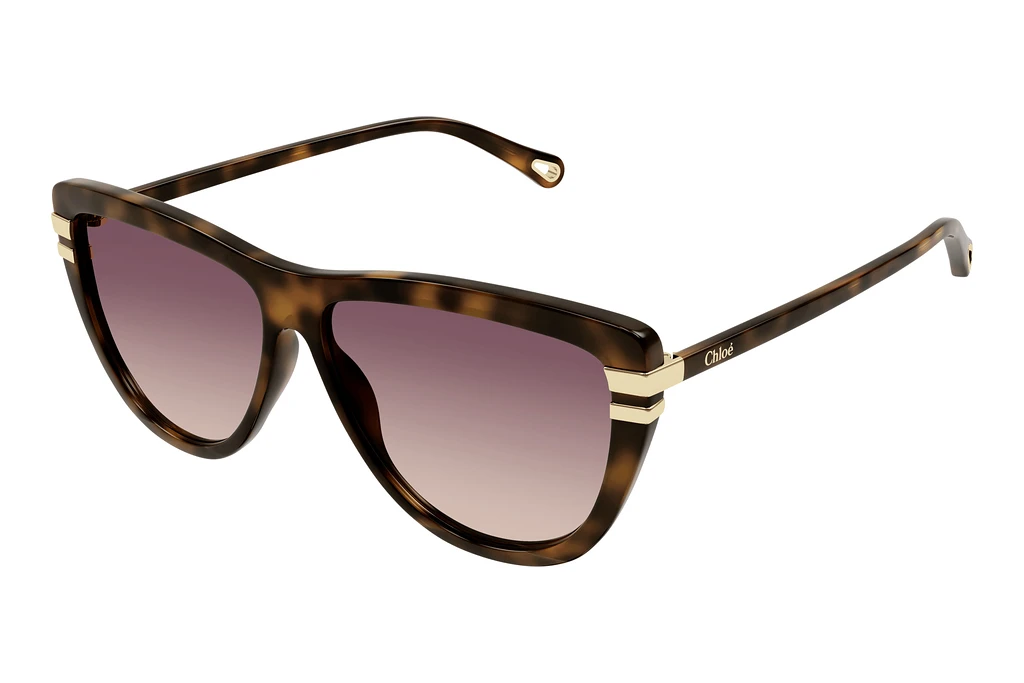 Chloé CH0203S (002) Especial